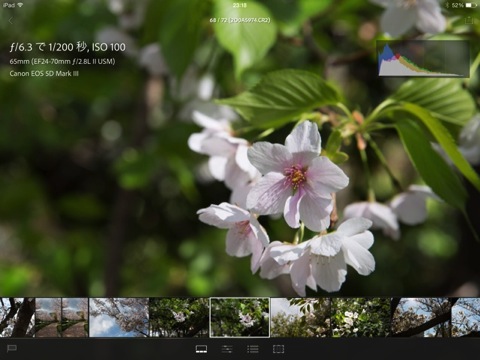 【iPad】「Lightroom mobile」をデスクトップ版「Adobe Photoshop Lightroom」と同期を設定してみました