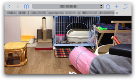 iPhone使って、赤ちゃんやペットの見守りカメラに最適な「Home Streamer」