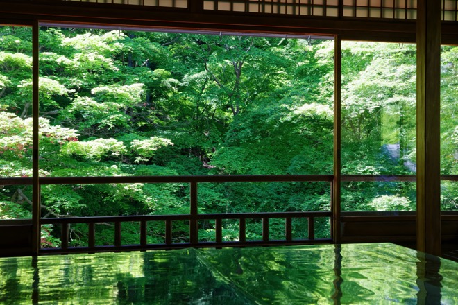青もみじに息をのむ「京都・瑠璃光院」