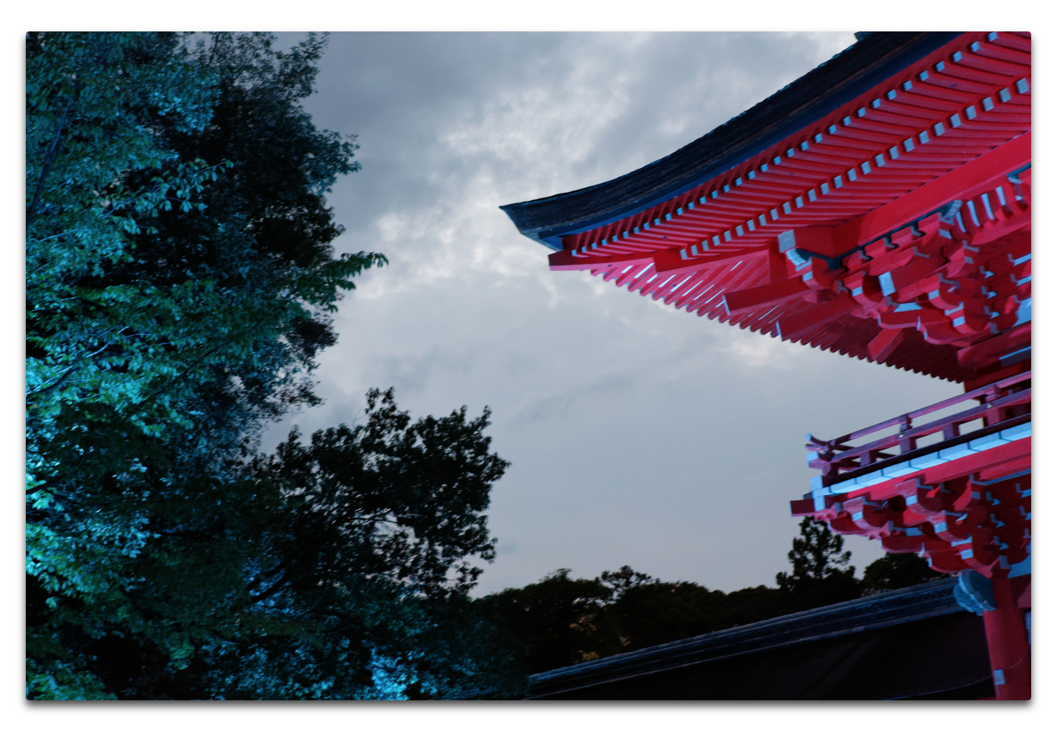 世界遺産「下鴨神社」 糺の森の光の祭に行ってきました、これから行こうと思う人のために