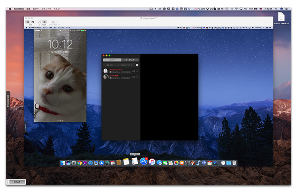 なるほどこの手が在った Macの 画面共有 を使って遠方のiosも画面