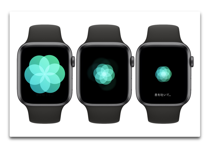 Apple Watchのアプリ「呼吸」のタイミングが合わない場合の変更方法