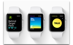 Apple、「watchOS 5.2.1 beta  5 (16U5113a)」を開発者にリリース