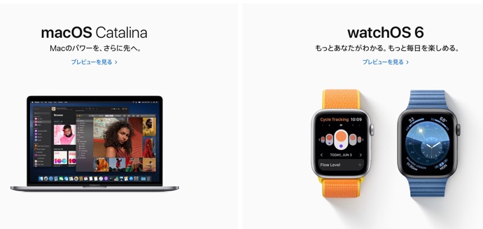 Apple Jpan 2019 00002 z