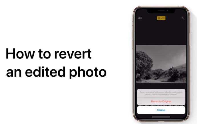 Apple Support、iPhoneまたはiPadで編集した写真を元の写真に戻す方法のハウツービデオを公開