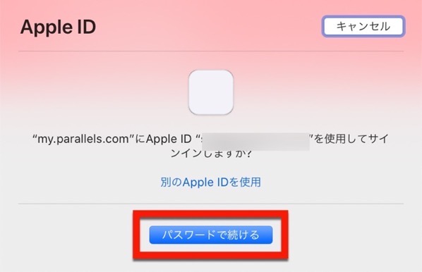 Sign in with Apple 00010 z