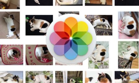 Macの「写真.app」で画像をエクスポートする方法による違いを理解する