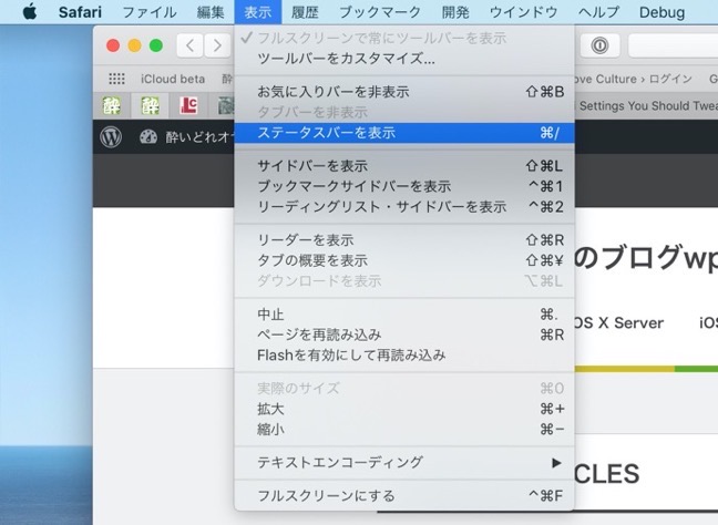 Mac Safari Setting 00001 z