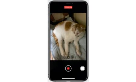 iPhoneで素早くペットの動画を撮影したい、その方法とは