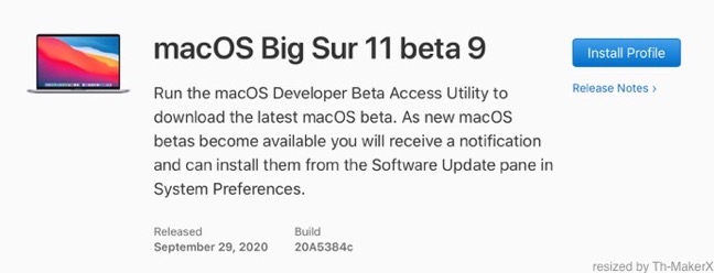 MacOS Big Sur 11 beta 9 00001 z