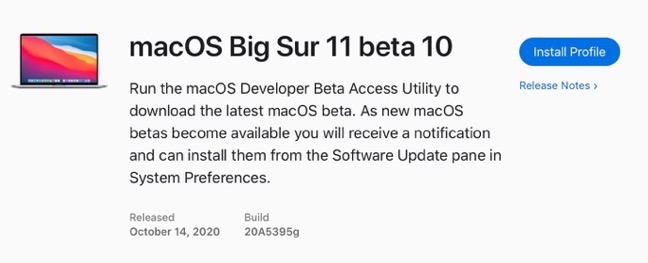 MacOS Big Sur 11 beta 10 00001 z