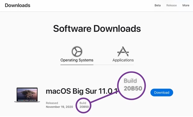 MacOS Big Sur 11 0 1 Build 20B50 00001