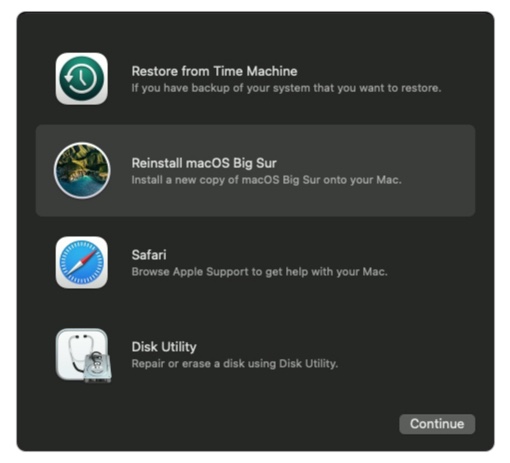 Apple M1 Mac Booting 00006
