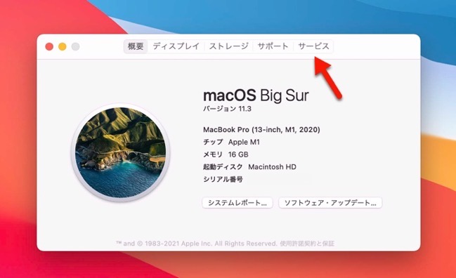 MacOS 11 3 AppleCare 00002