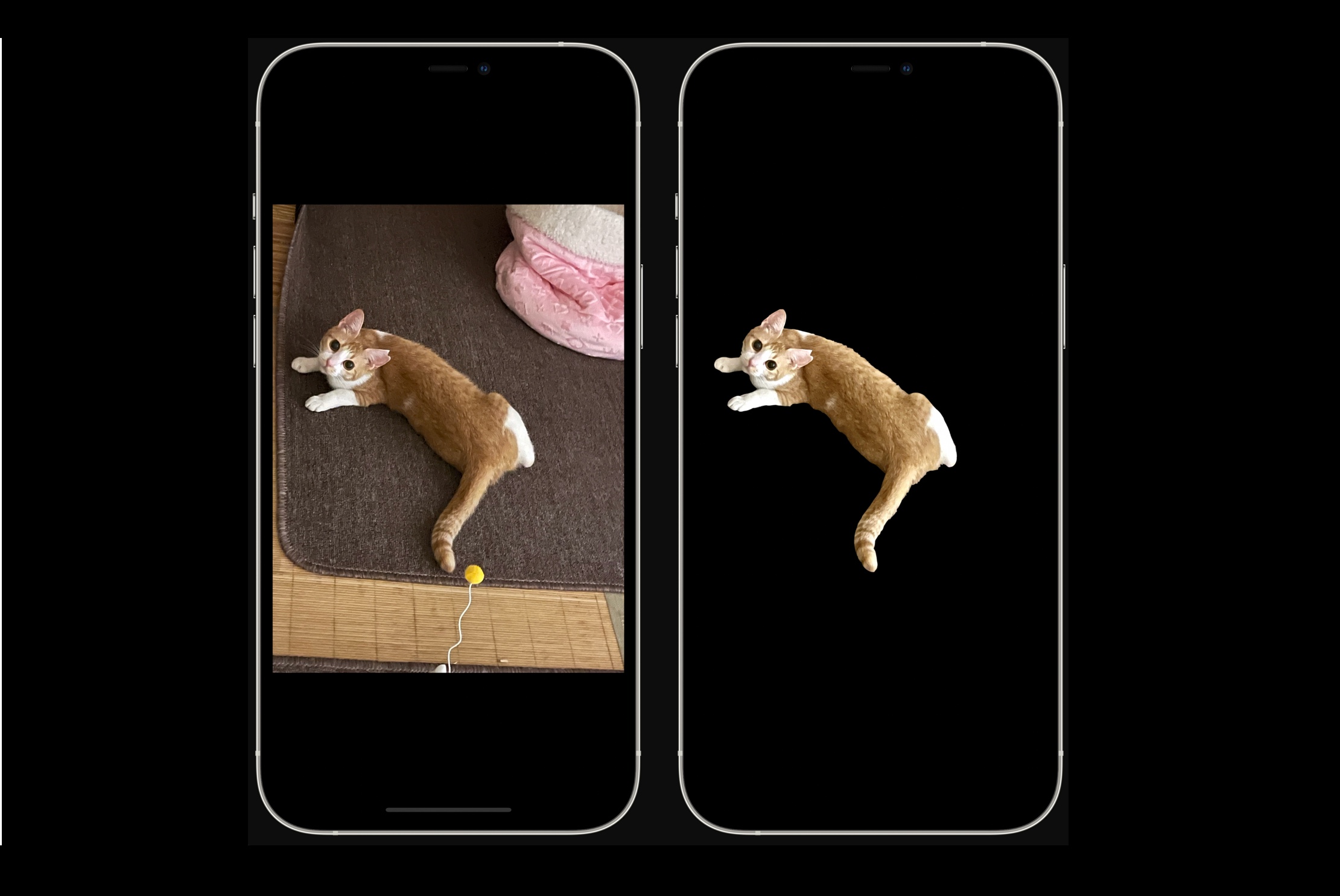 iPhoneおよびiPadの写真から背景を簡単に削除する方法