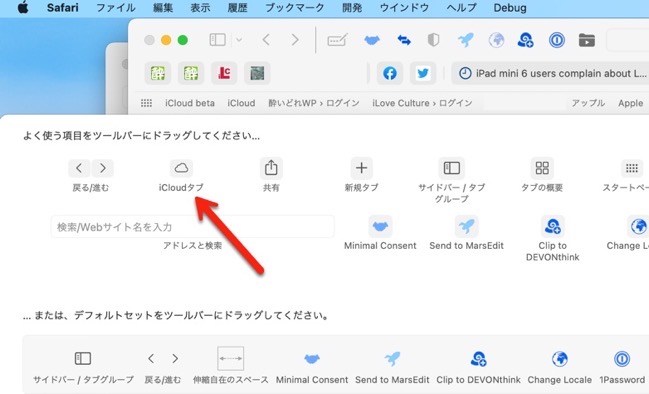 MacOS Safari 15 iCloud tab 001