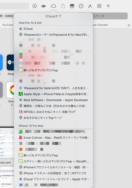 MacOS Safari 15 iCloud tab 002