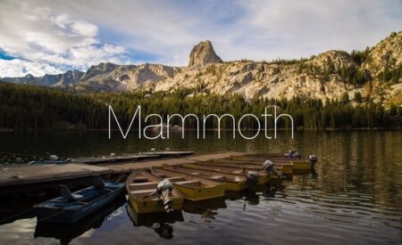 Apple，次期macOS 13は「macOS Mammoth」か？「Mammoth」の商標を更新