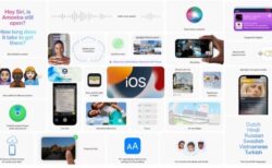 Apple、Podcastの機能強化とバグ修正が含まれる「iOS 15.5」正式版をリリース