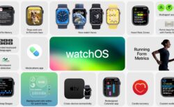 Apple、屋外ワークアウトの改善、クラッシュ検出の最適化、ノイズ アプリの微調整などを含む「watchOS 9.2」正式版をリリース