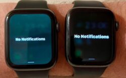 何が起きている？watchOS 9.5アップデート後のApple Watchの緑色の謎