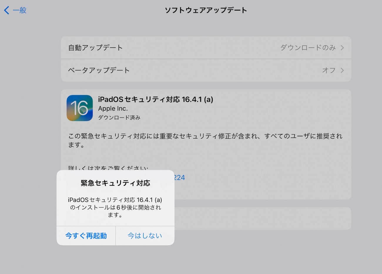 IPadOS 16 4 1 RSR 16 4 1  a 02