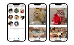 ペット好き必見！ iOS 17での新機能、ペットも認識可能になったiPhoneの画像認識機能の進化