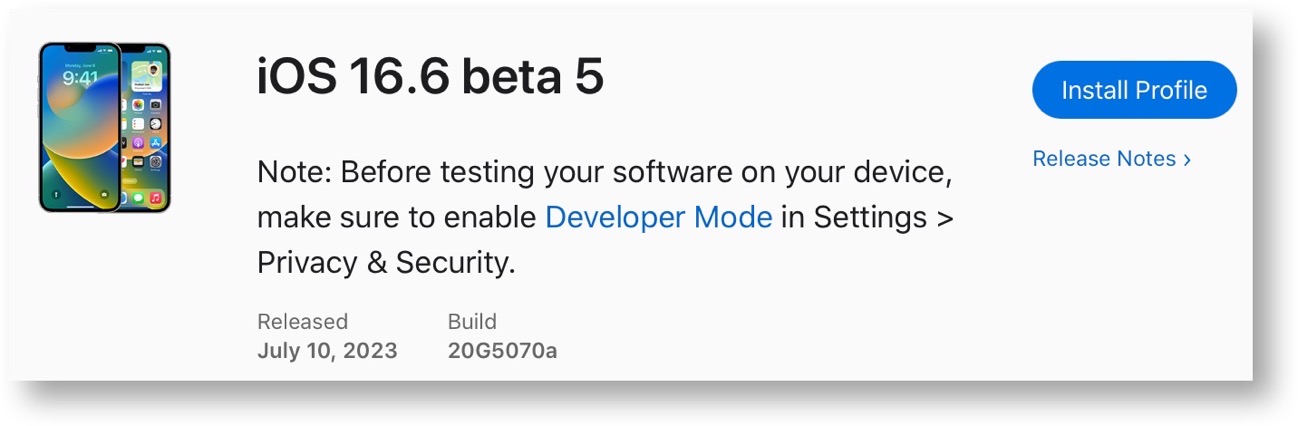 IOS 16 6 beta 5