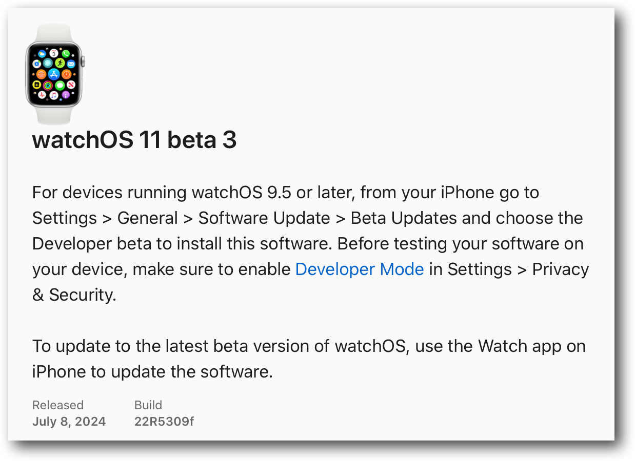 WatchOS 11 beta 3.