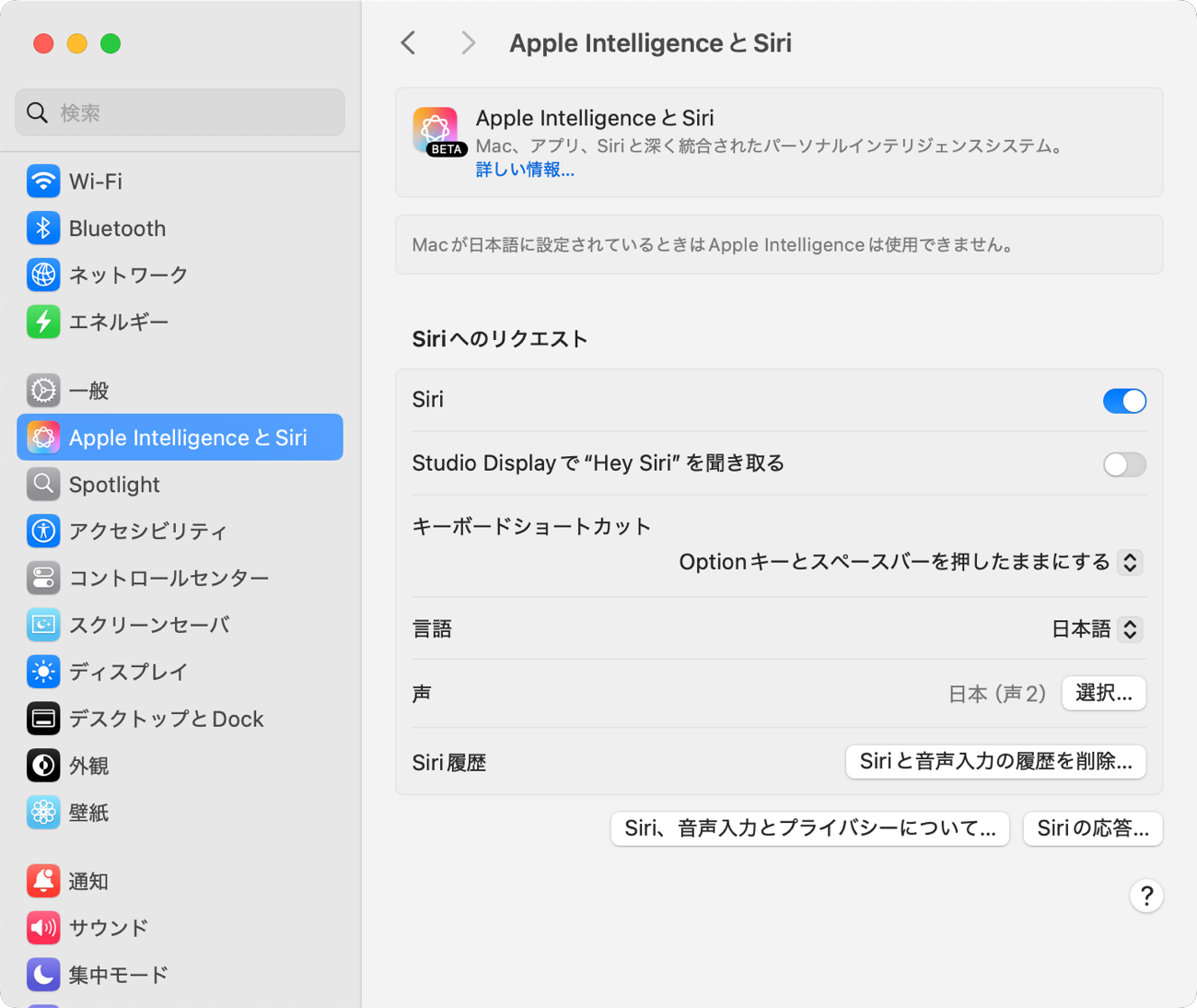 Apple Intelligence 18.1_02.